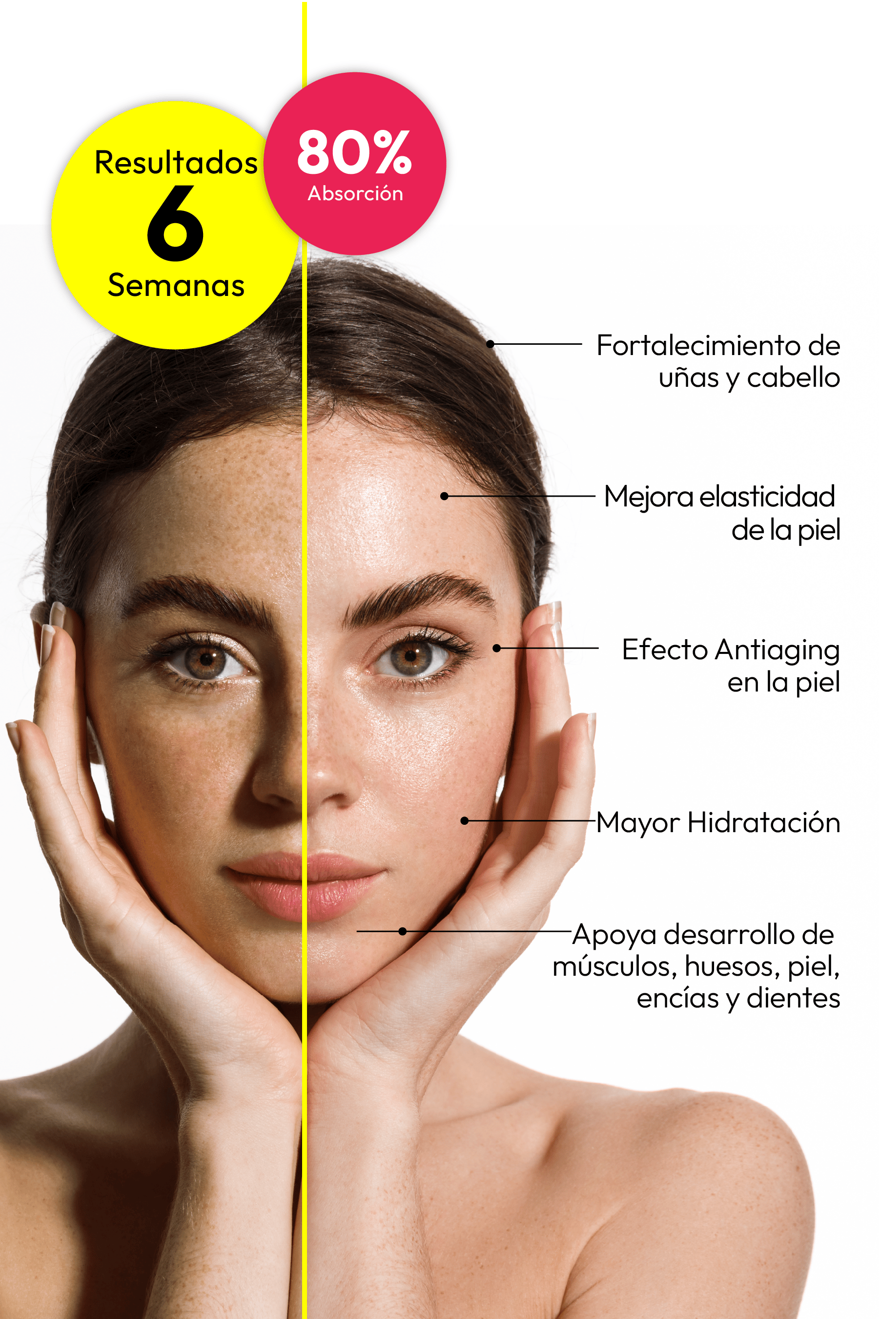 Botella de colágeno líquido sublingual y parche multivitamínico para bienestar diario